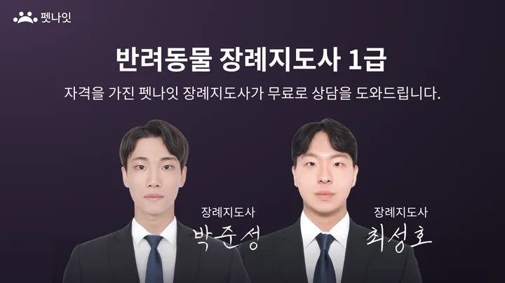 펫나잇 장례지도사 사진