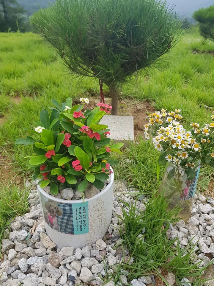 대구 반려동물 장례식장 1 시설 사진 3