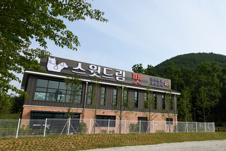 대구 강아지 장례식장 추천 시설 비교 이미지