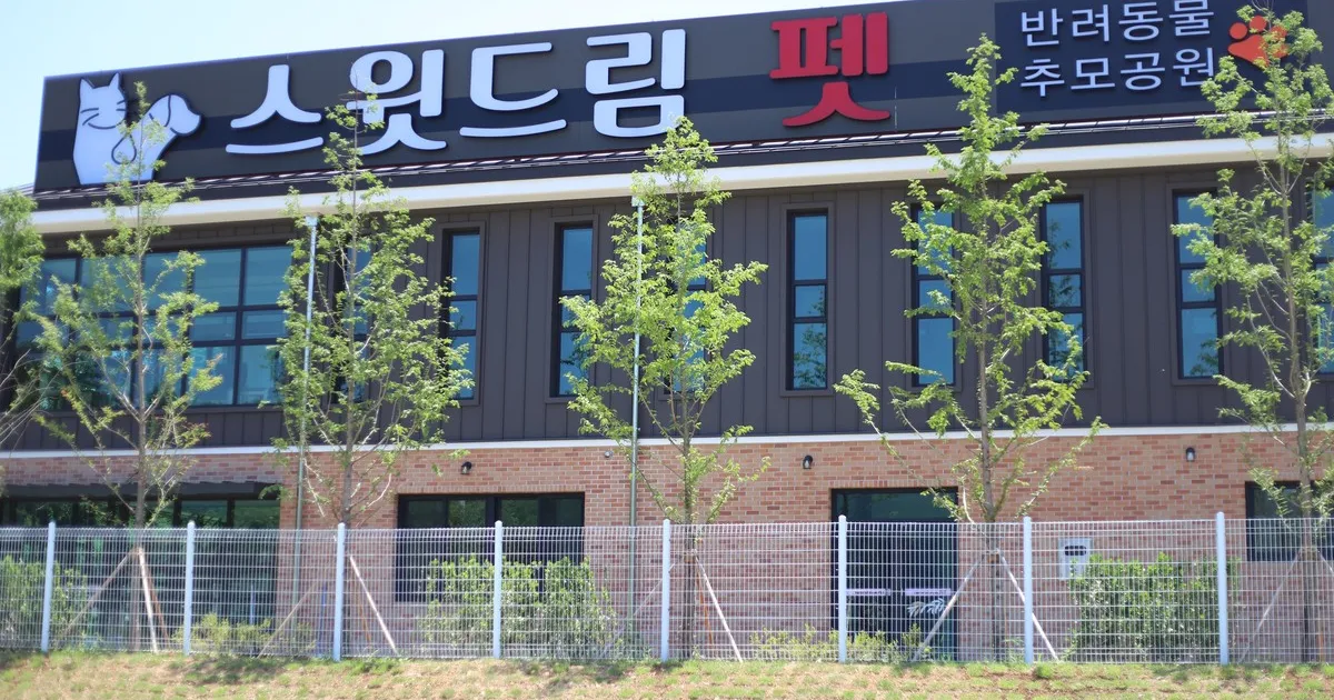 대구 반려동물 장례식장 확인 안내