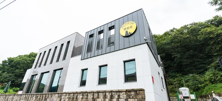 대전 애견 장례식장 비용과 후기 안내
