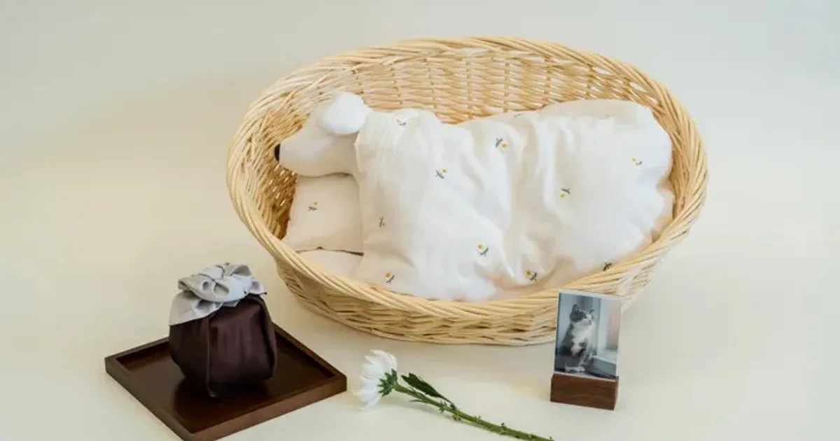 강아지 사망 후 수습을 준비하는 보호자