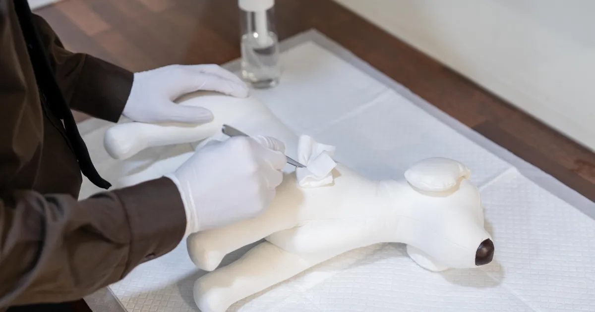 강아지 장례비용 10만원 가능여부 알아보는 보호자