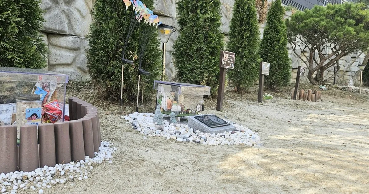 세종 강아지 장례식장 실제 시설 확인