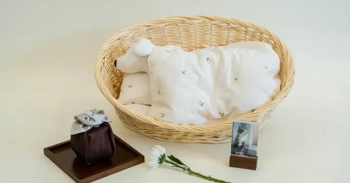 강아지 사망 후 수습을 준비하는 보호자