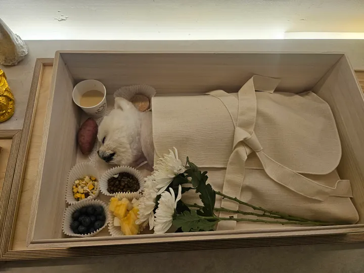 솜이 보호자 후기 이미지