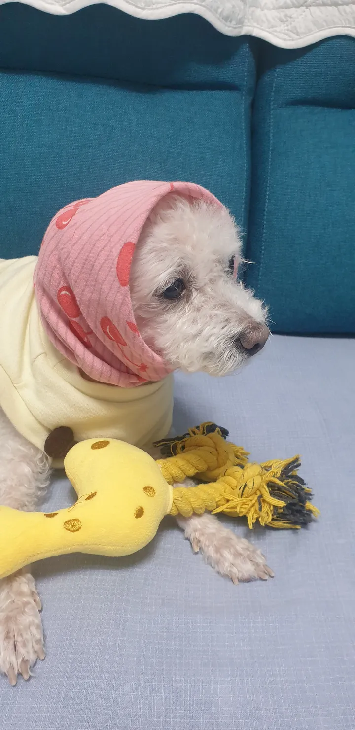 별 보호자 후기 이미지