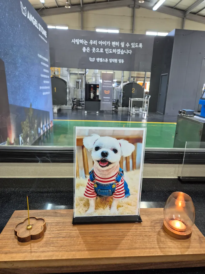 로또 보호자 후기 이미지