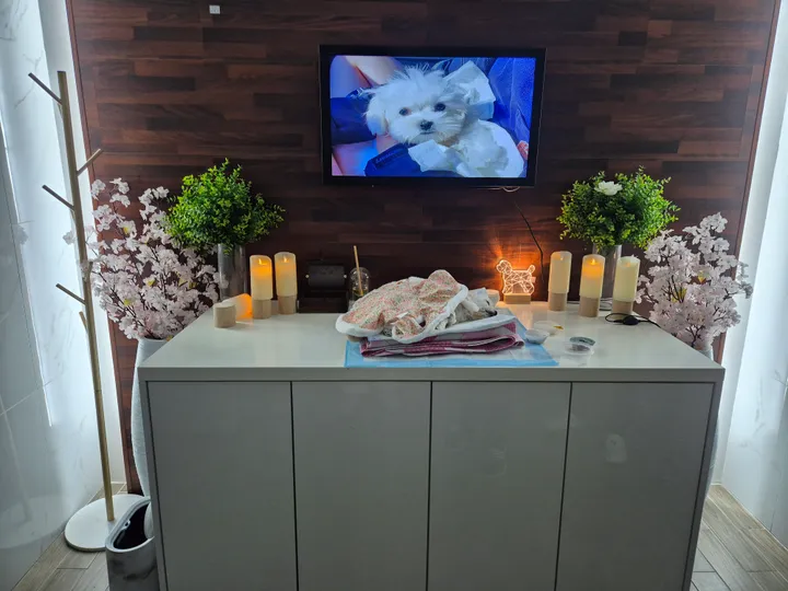 둥이 보호자 후기 이미지