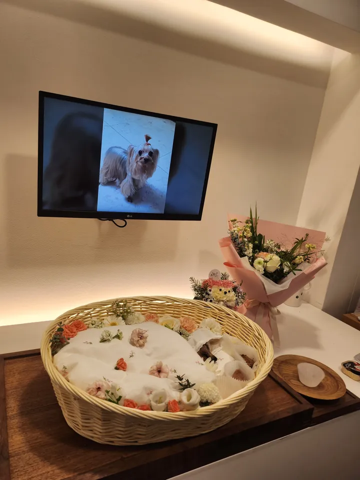 안산 반려동물 장례 장례식장 2 실제 후기 사진