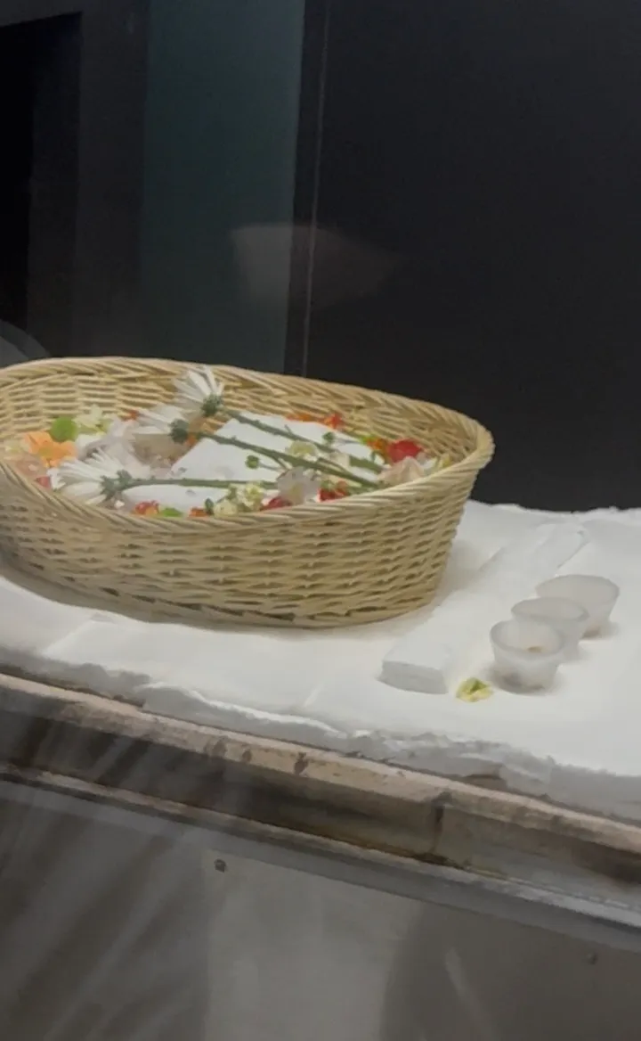 칸쵸 보호자 후기 이미지