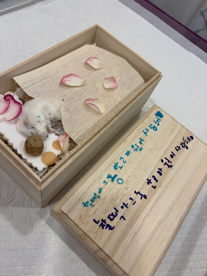 보호자 후기 사진 2