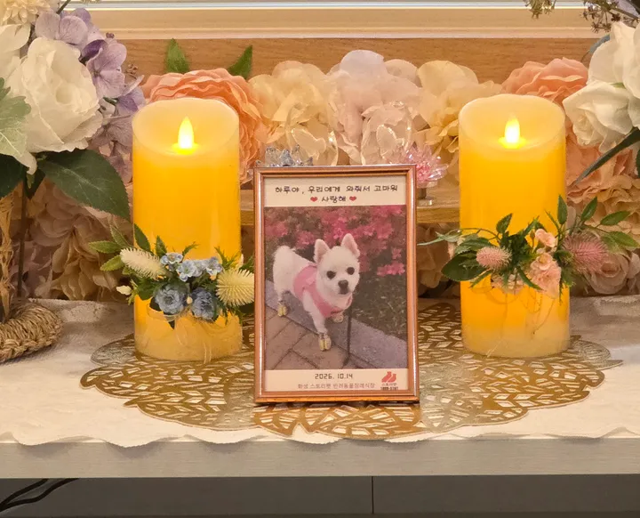 보호자 후기 사진 2