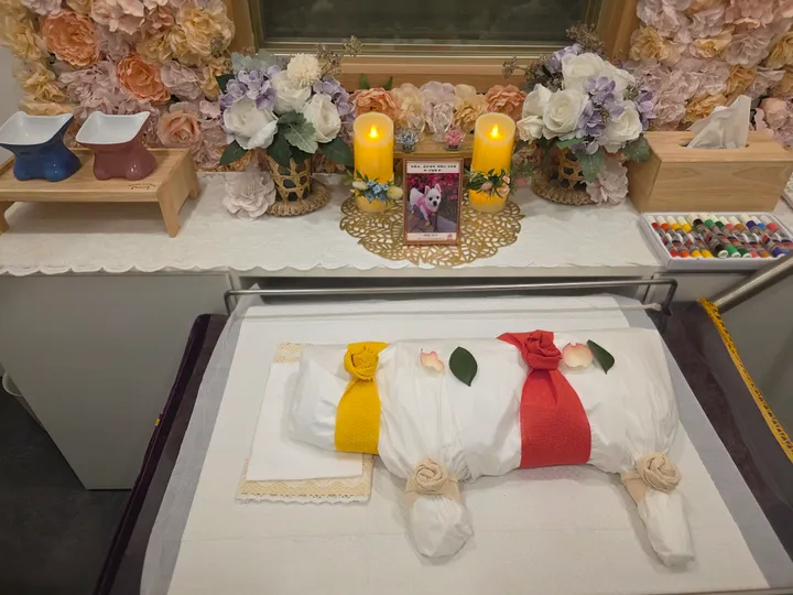 보호자 후기 사진 1