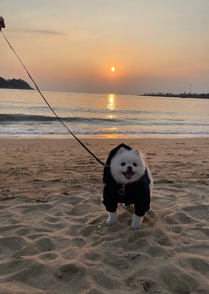 보호자 후기 사진 2