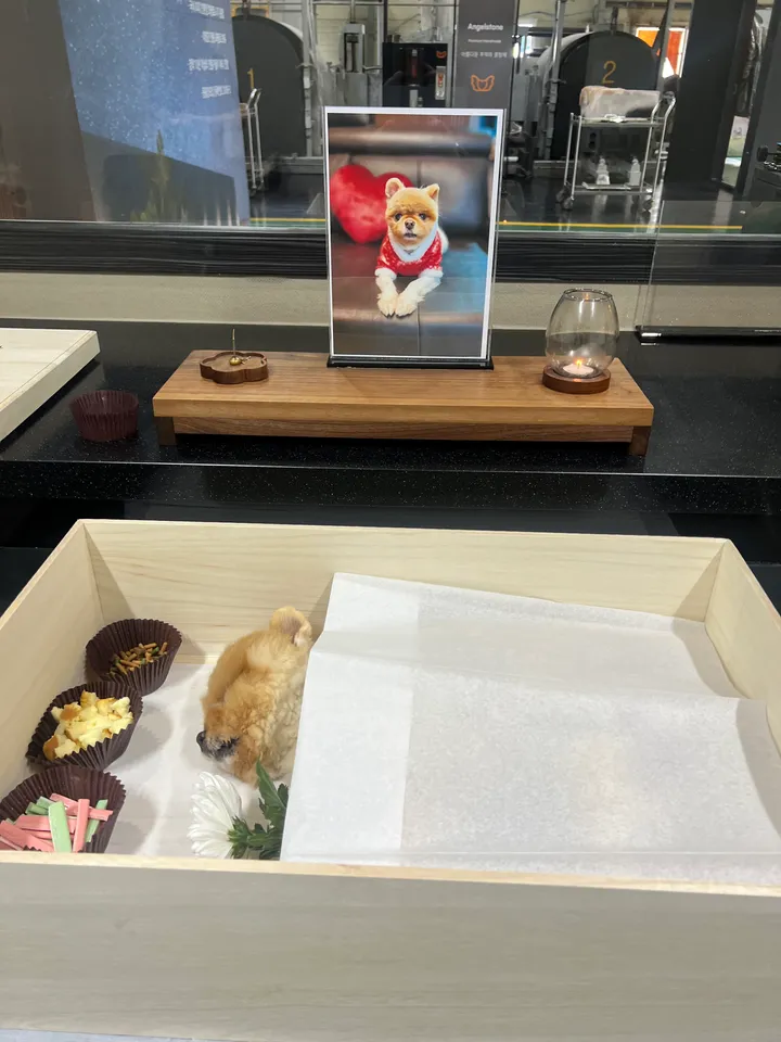 보호자 후기 사진 2