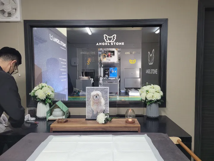 보호자 후기 사진 1