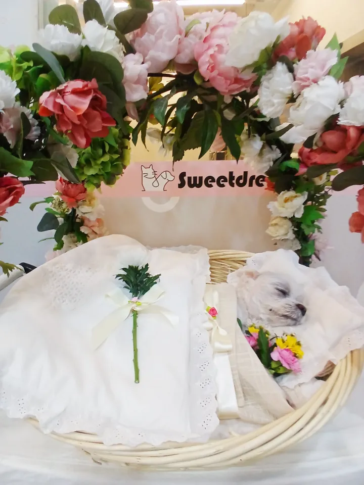 보호자 후기 사진 1