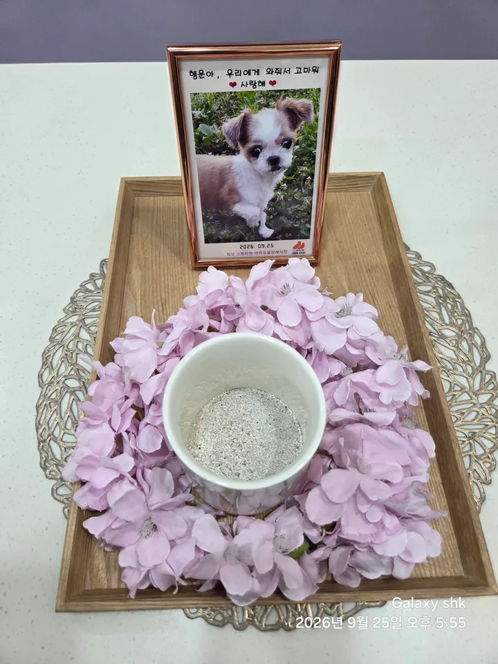 보호자 후기 사진 2