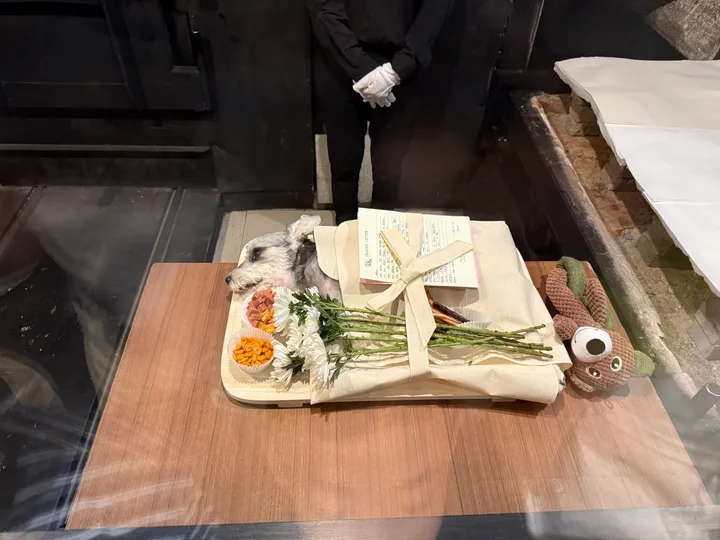 보호자 후기 사진 2