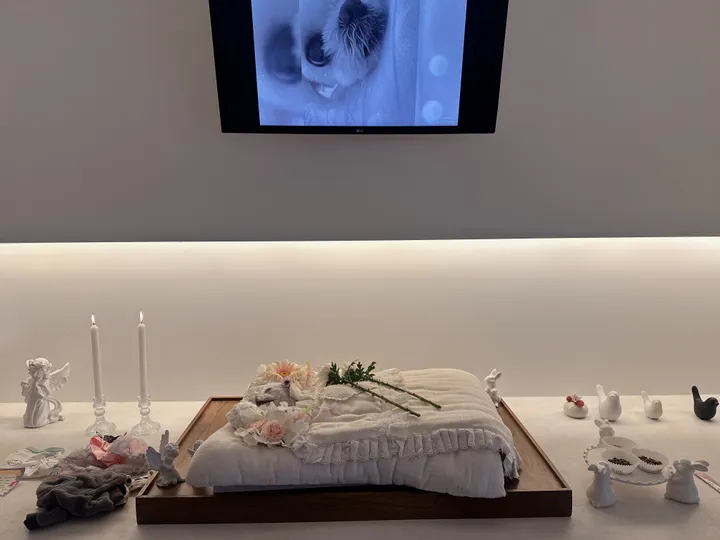 보호자 후기 사진 1