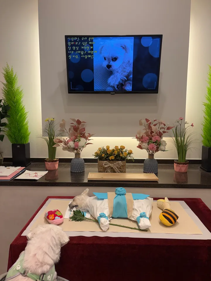 리뷰 이미지 1번째