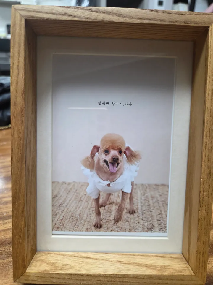 보호자 후기 사진 1