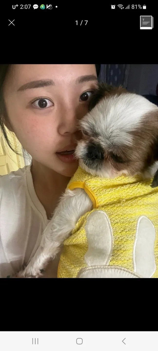 보호자 후기 사진 1