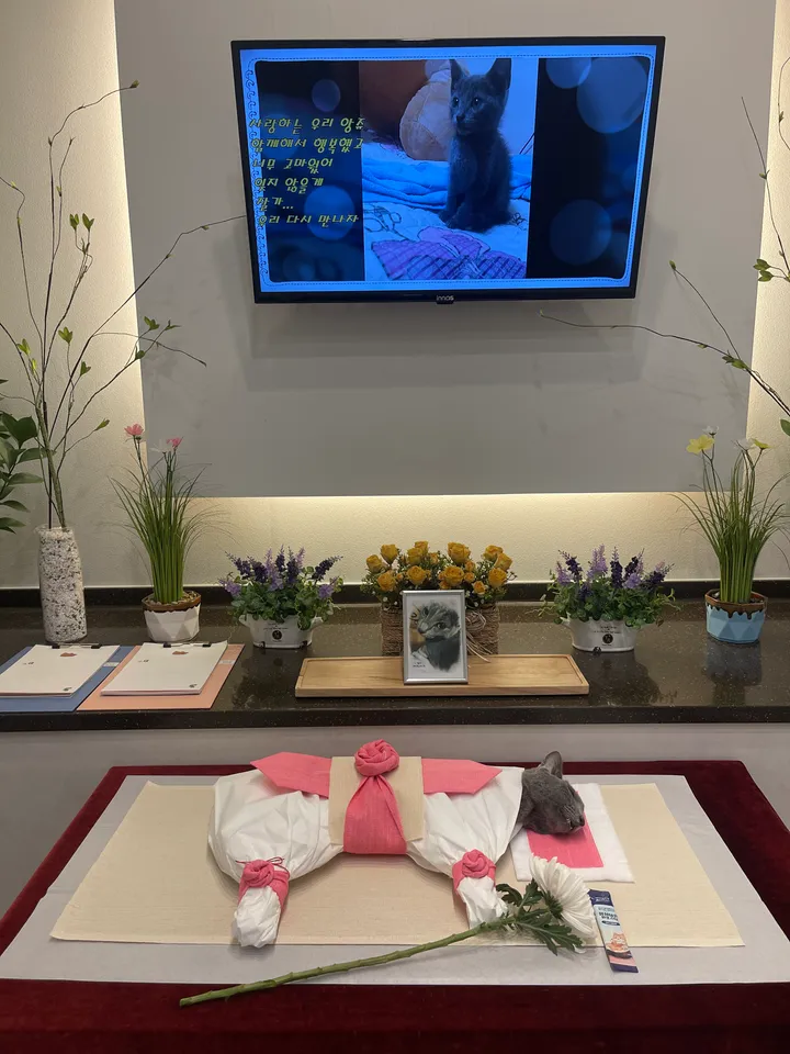 보호자 후기 사진 1