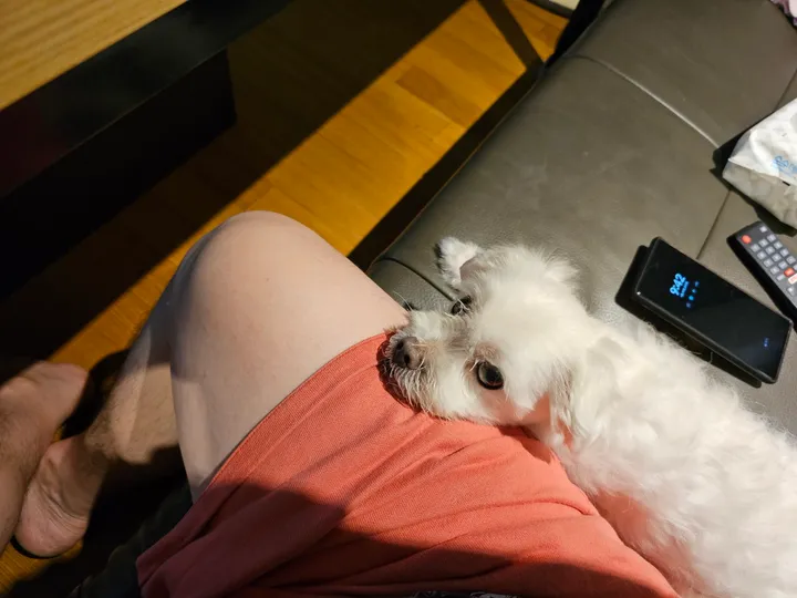리뷰 이미지 1번째