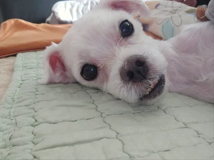 리뷰 이미지 3번째