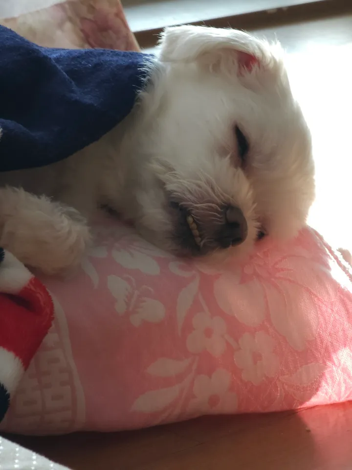 리뷰 이미지 2번째