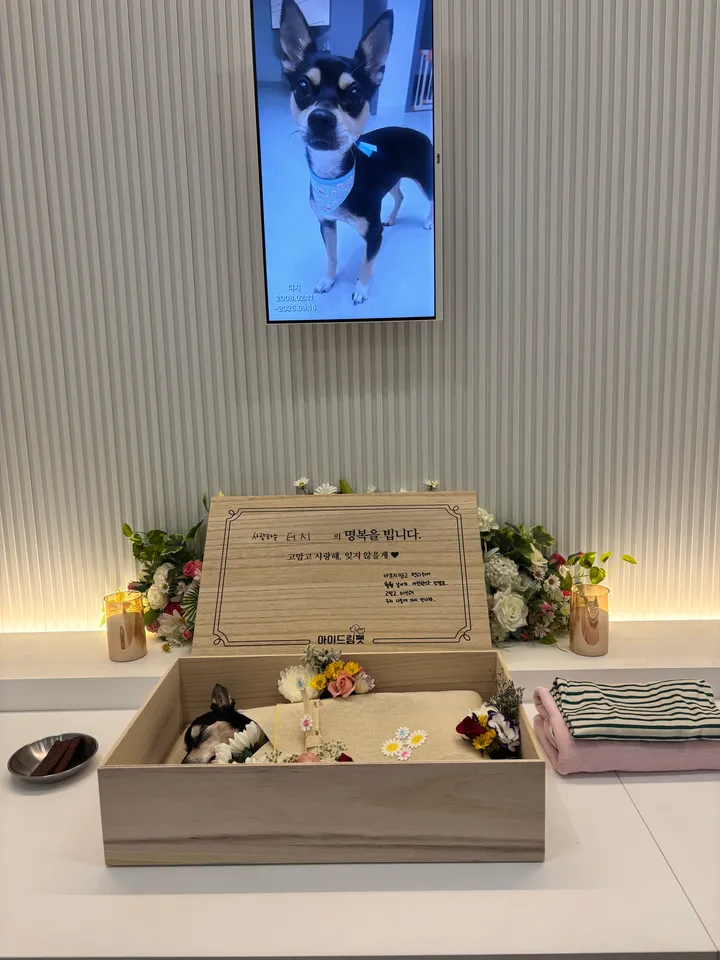 보호자 후기 사진 2