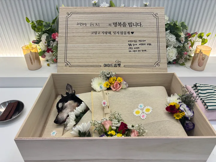 보호자 후기 사진 1