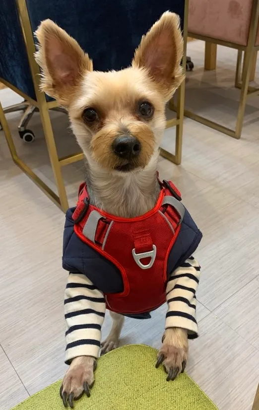 보호자 후기 사진 2
