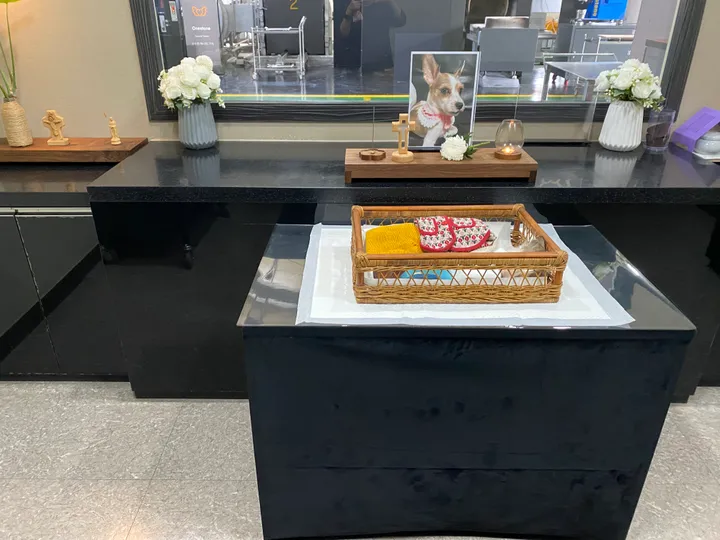보호자 후기 사진 1