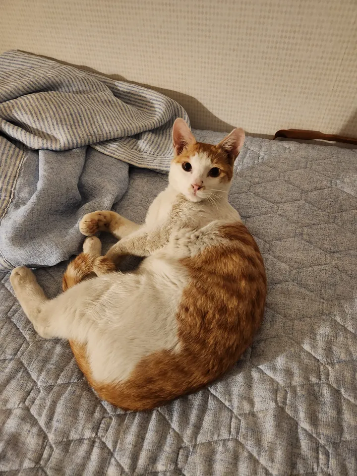보호자 후기 사진 2