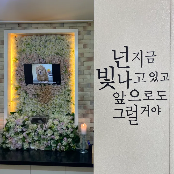 보리 보호자 후기 이미지