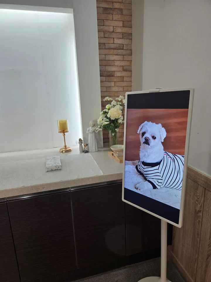 아롱이 보호자 후기 이미지