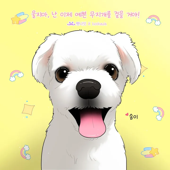 송이 보호자 후기 이미지