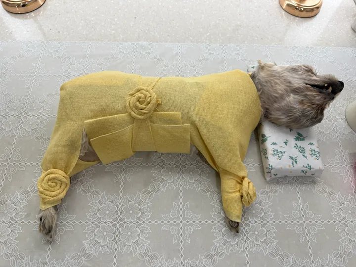 반달이 보호자 후기 이미지