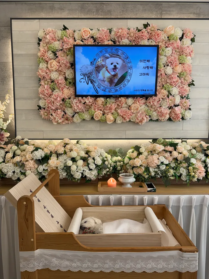 김천 반려동물 장례식장 보호자 후기 이미지
