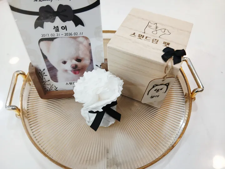 설 보호자 후기 이미지