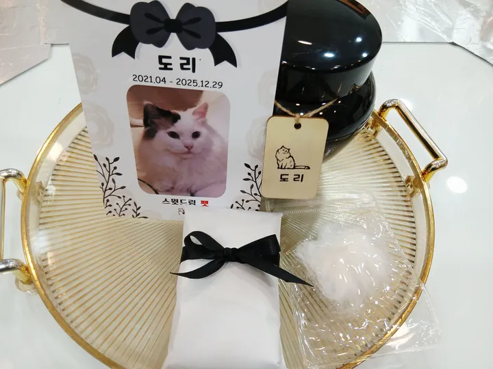 도리 보호자 후기 이미지