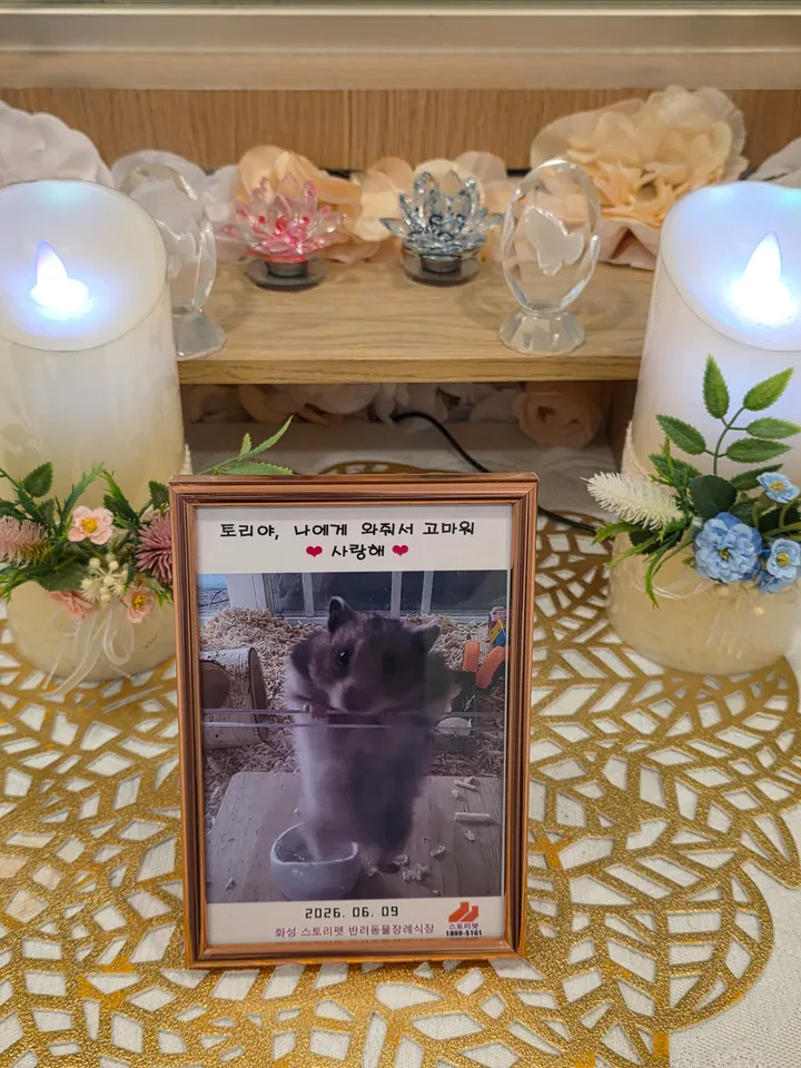 토리 보호자 후기 이미지
