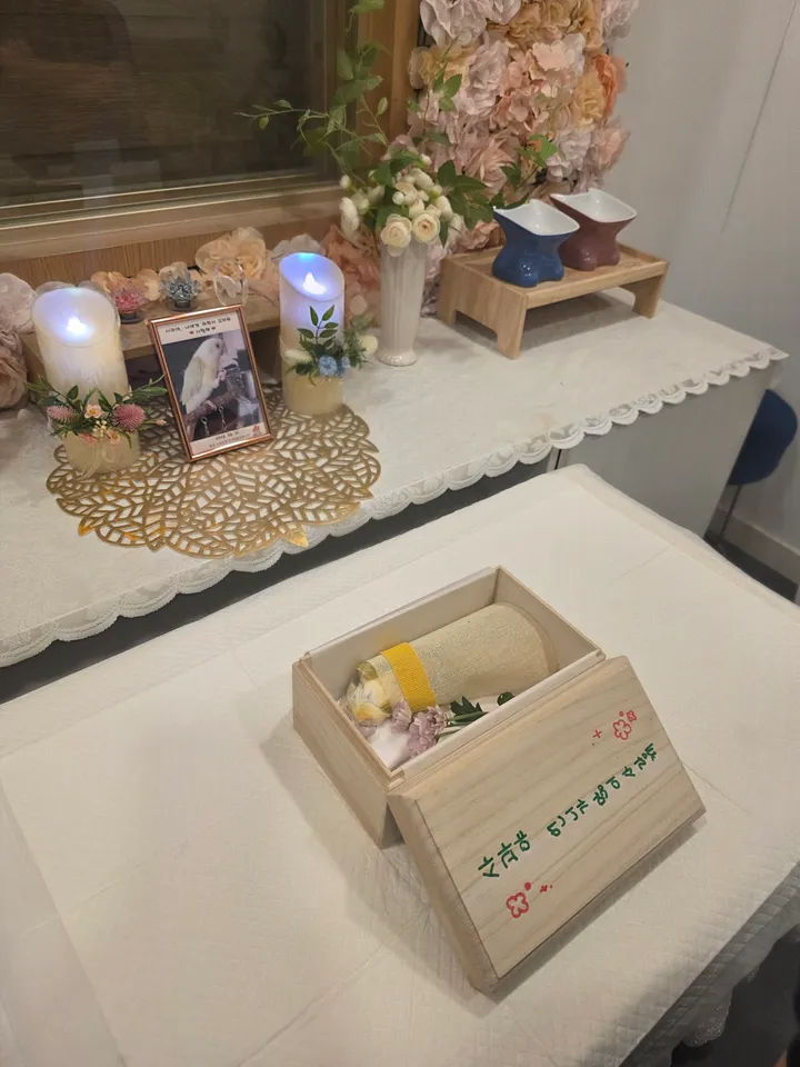 사과 보호자 후기 이미지