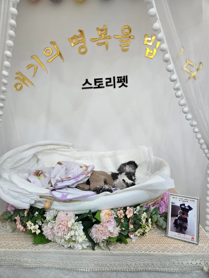 짱이 보호자 후기 이미지