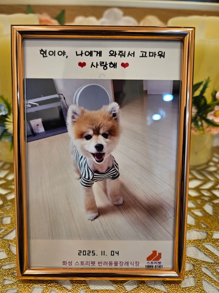 현이 보호자 후기 이미지