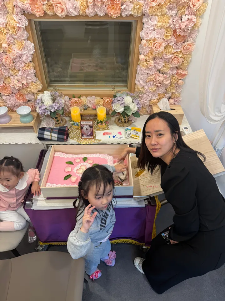 솜이 보호자 후기 이미지