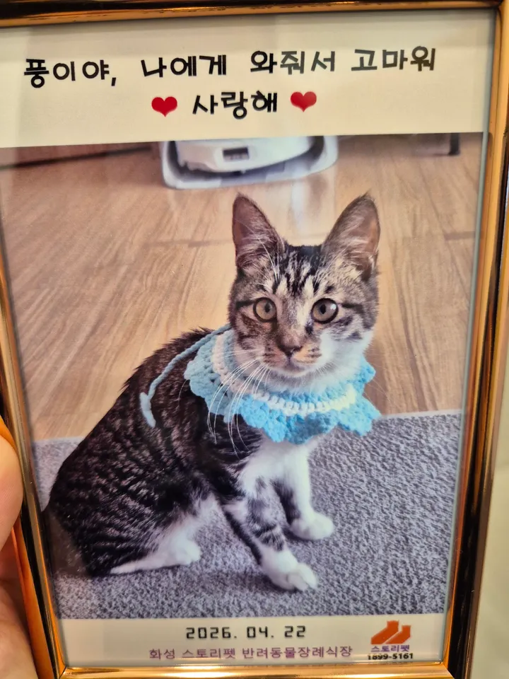 풍이 보호자 후기 이미지